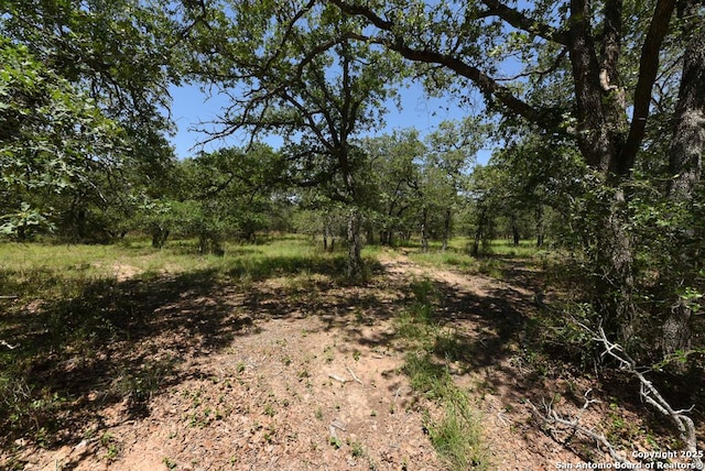 1464 Cross Rd, Kingsbury, TX 78638