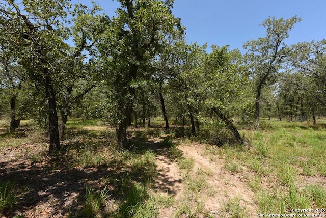 1464 Cross Rd, Kingsbury, TX 78638