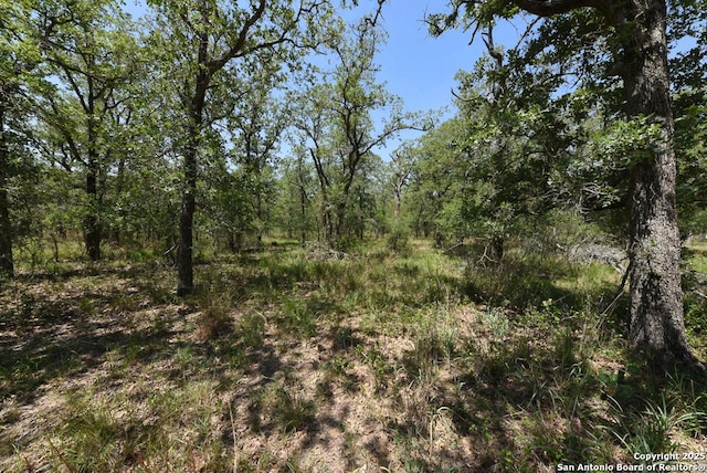 1464 Cross Rd, Kingsbury, TX 78638