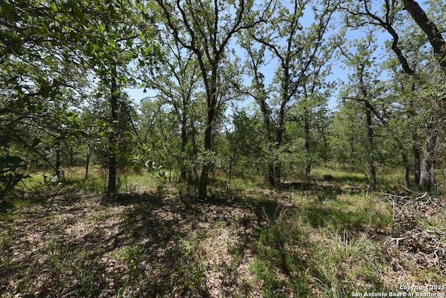1464 Cross Rd, Kingsbury, TX 78638