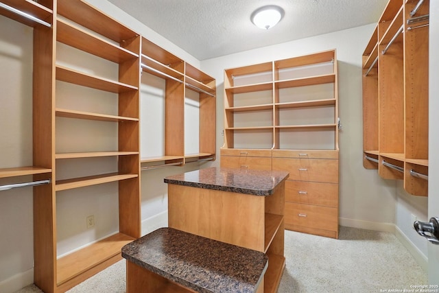 143 Roseheart, San Antonio, TX 78259 - spacious closet with light colored carpet