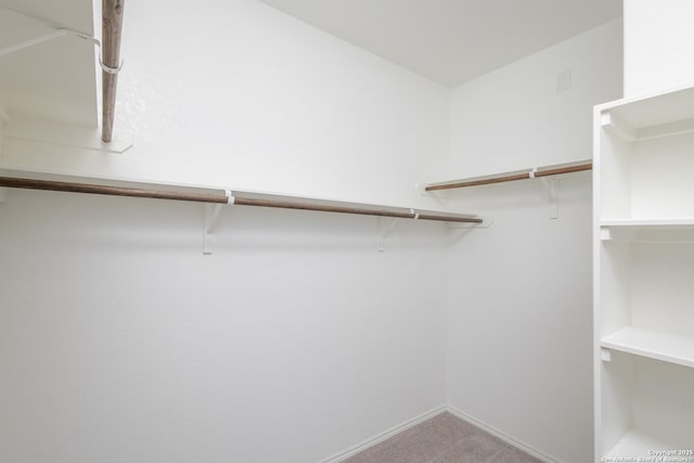 14703 Running Wolf, San Antonio, TX 78245 - spacious closet featuring carpet floors