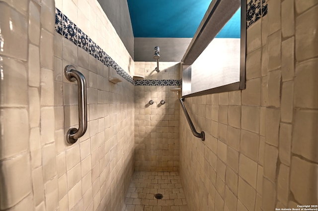 1211 Mount Riga, San Antonio, TX 78213 - full bathroom featuring a tile shower, pet washing station, and tile walls