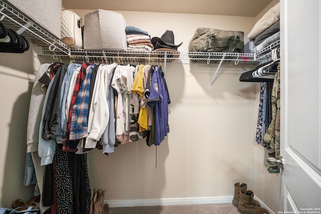 6516 Sabinal, San Antonio, TX 78252 - walk in closet featuring carpet floors