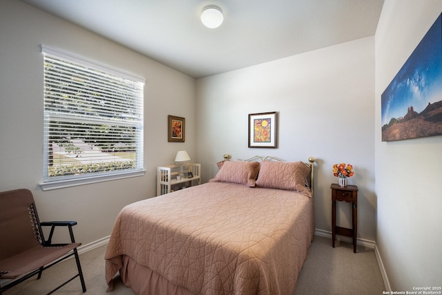 12530 Big Valley Crk, San Antonio, TX 78254 - bedroom with carpet flooring and baseboards
