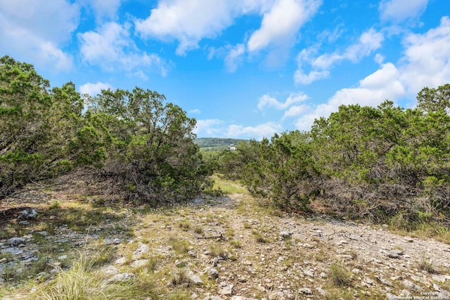 3619 Running Spgs, San Antonio, TX 78261 - view of woods
