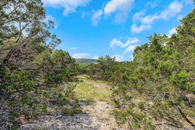 3619 Running Spgs, San Antonio, TX 78261 - view of woods