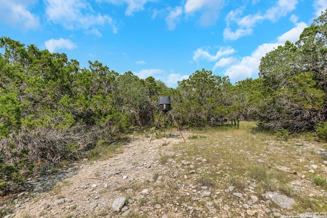 3619 Running Spgs, San Antonio, TX 78261 - view of nature