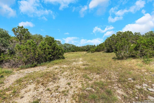 3619 Running Spgs, San Antonio, TX 78261 - view of wooded area