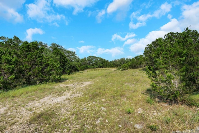 3619 Running Spgs, San Antonio, TX 78261 - view of nature