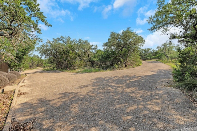 3619 Running Spgs, San Antonio, TX 78261 - view of asphalt street