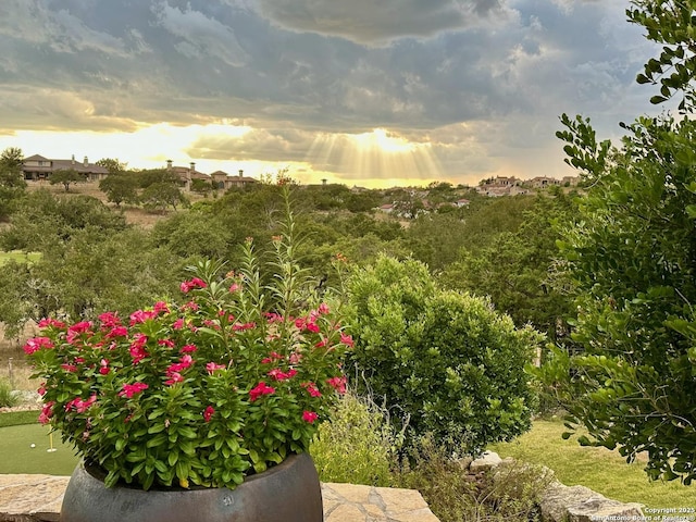 44 Oakland, Boerne, TX 78006 - yard at dusk with a putting area