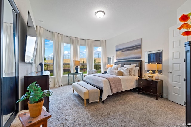 1235 Yaupon, New Braunfels, TX 78132 - bedroom with light carpet and baseboards