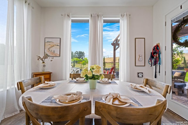 1235 Yaupon, New Braunfels, TX 78132 - dining room featuring wood finished floors