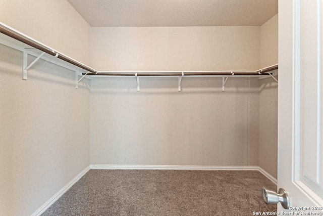 2317 Broken Wheel Ln, New Braunfels, TX 78130 - spacious closet with carpet