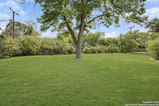 338 Tango Dr, San Antonio, TX 78216 - view of yard