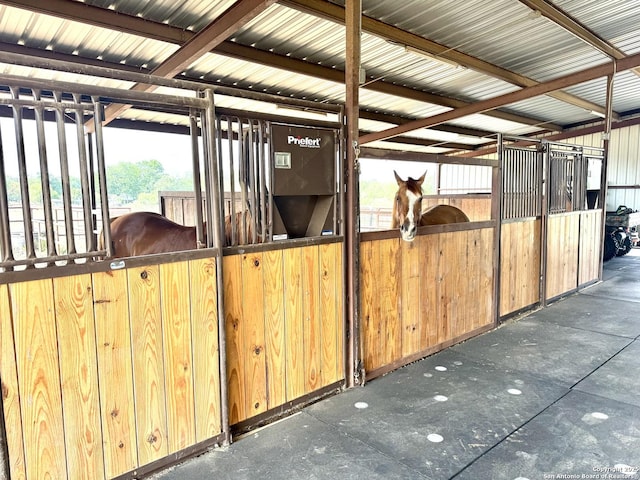 381 Schneider Rd, Seguin, TX 78155 - view of stable