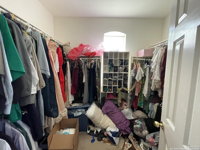 19102 Weeping Oak, Spring, TX 77388 - spacious closet with carpet floors