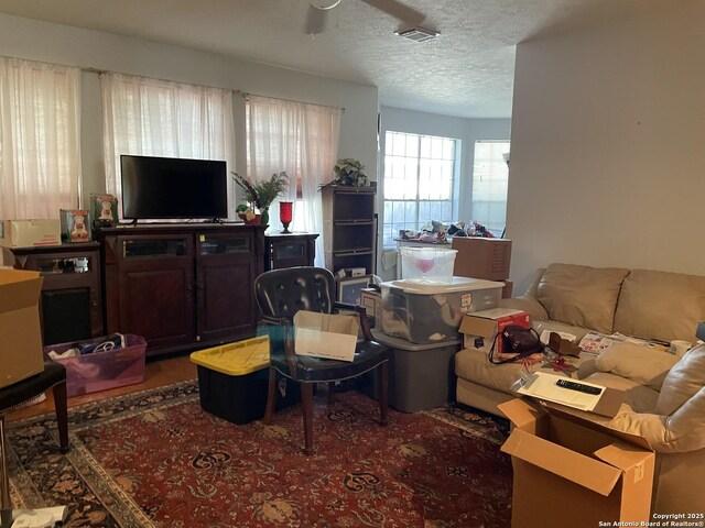 19102 Weeping Oak, Spring, TX 77388 - living area featuring a textured ceiling and a ceiling fan