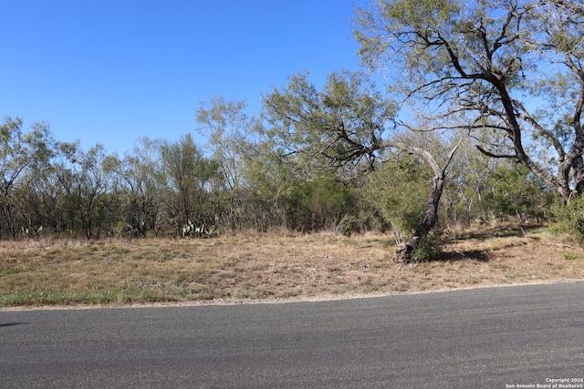 15691 E Gable Rd, Saint Hedwig, TX 78152