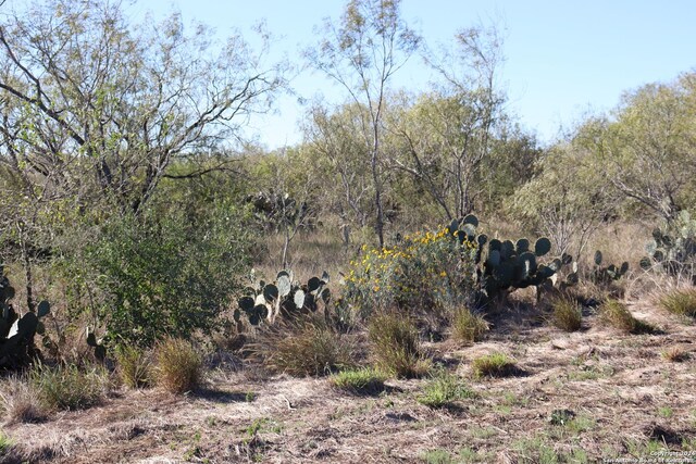 15691 E Gable Rd, Saint Hedwig, TX 78152