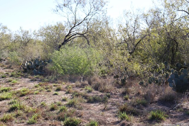 15691 E Gable Rd, Saint Hedwig, TX 78152