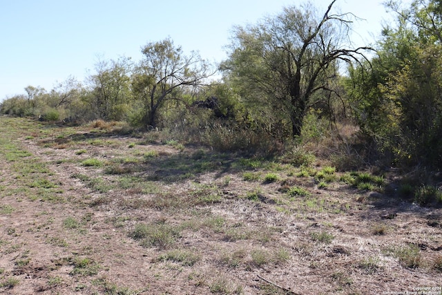 15691 E Gable Rd, Saint Hedwig, TX 78152