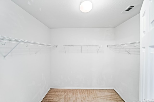 445 Auburn Park, Schertz, TX 78154 - walk in closet with carpet flooring