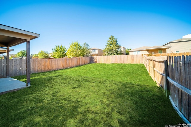 445 Auburn Park, Schertz, TX 78154 - view of yard