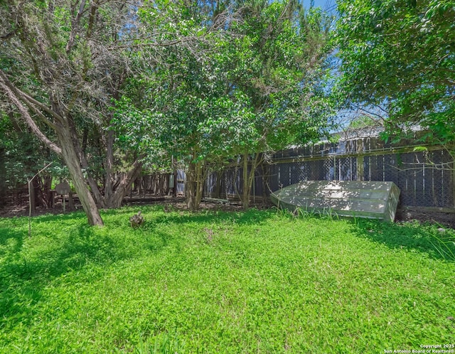 15411 Cranes Mill Rd, Canyon Lake, TX 78133 - view of yard