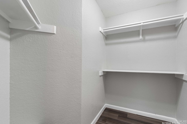6909 Quail Lk, San Antonio, TX 78244 - spacious closet with dark wood-style flooring