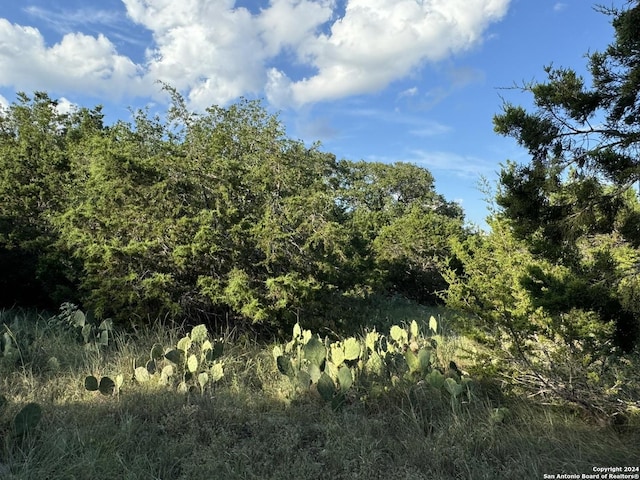 LOT10 Rocky Point Dr, Spring Branch, TX 78070