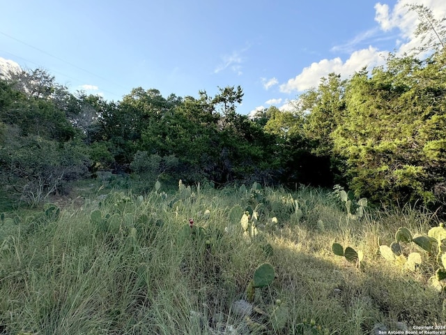 LOT10 Rocky Point Dr, Spring Branch, TX 78070