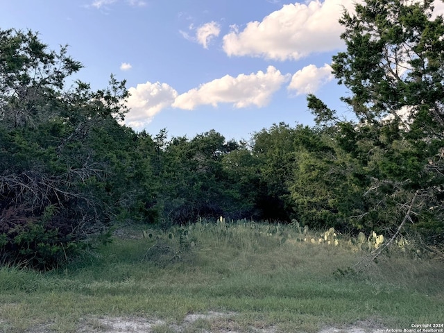 LOT10 Rocky Point Dr, Spring Branch, TX 78070