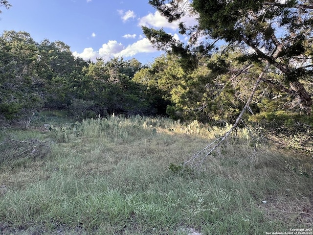 LOT10 Rocky Point Dr, Spring Branch, TX 78070