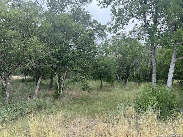 483 Oak Knl, San Antonio, TX 78228