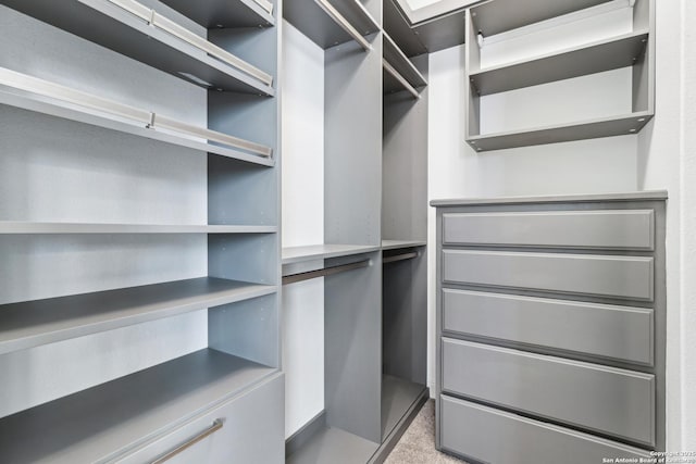 6327 Almeria Cir, San Antonio, TX 78257 - spacious closet with light carpet