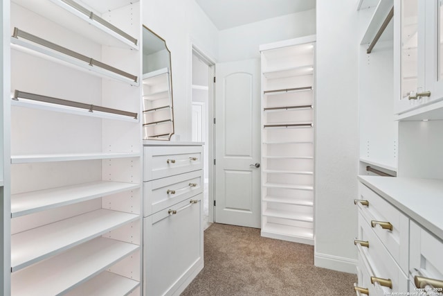 6327 Almeria Cir, San Antonio, TX 78257 - walk in closet with carpet
