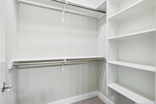 6327 Almeria Cir, San Antonio, TX 78257 - walk in closet with carpet flooring