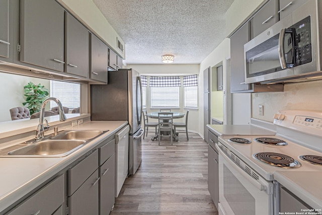 5718 Ponderosa Dr, San Antonio, TX 78240 - kitchen with white appliances, gray cabinets, a sink, light wood-type flooring, and a textured ceiling