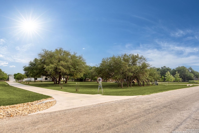1133 Horseshoe Fls, Bandera, TX 78003 - view of property's community featuring a yard
