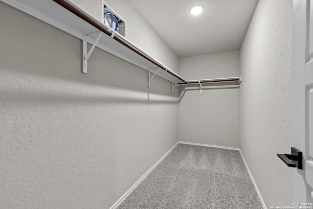 6610 Lowrie Block, San Antonio, TX 78239 - walk in closet with carpet flooring