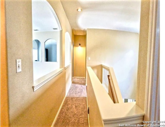 534 Walnut Hts, New Braunfels, TX 78130 - corridor with carpet flooring