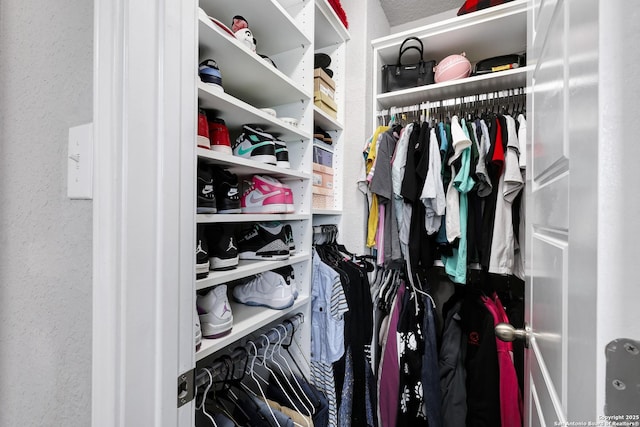 23534 Enchanted Bnd, San Antonio, TX 78260 - view of spacious closet