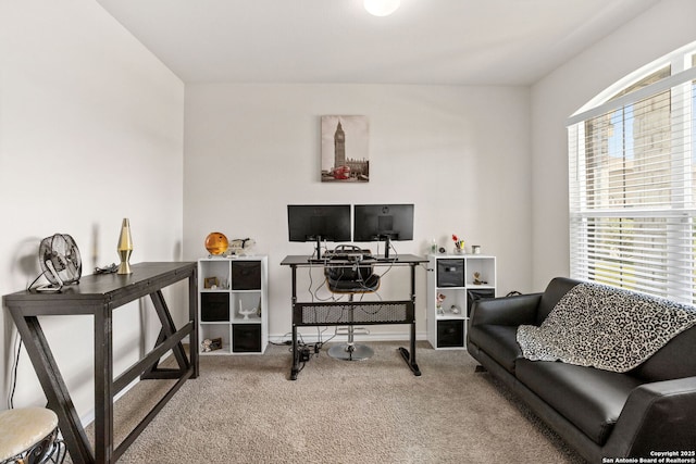 104 Mossy Bank, Cibolo, TX 78108 - view of carpeted office