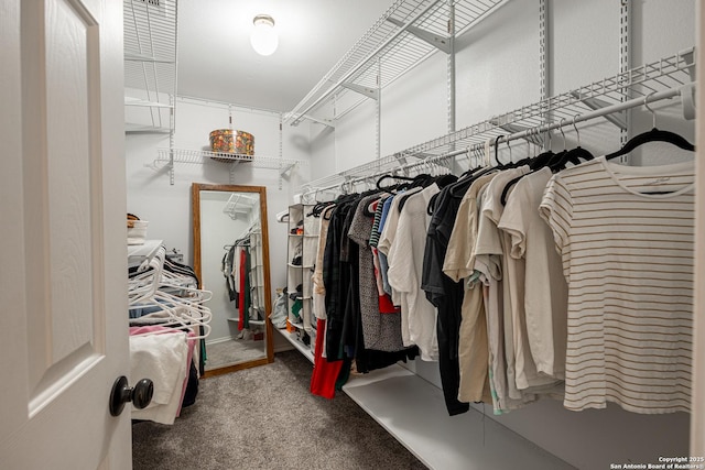 140 Eagle Vail, San Antonio, TX 78258 - spacious closet with carpet
