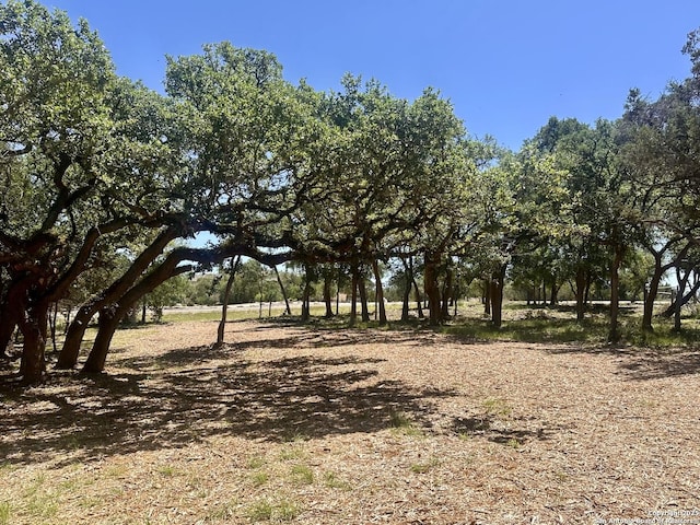 288 Scenic Cyn, New Braunfels, TX 78132