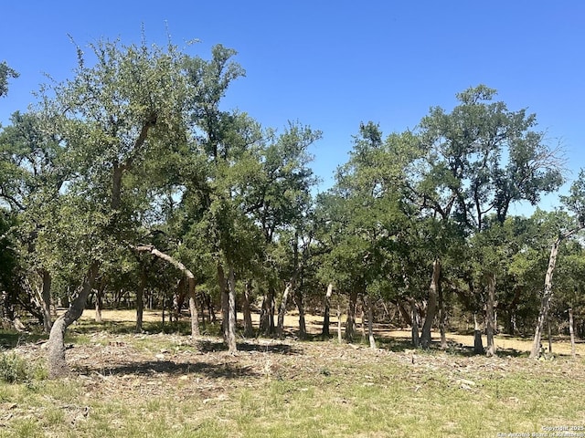 288 Scenic Cyn, New Braunfels, TX 78132