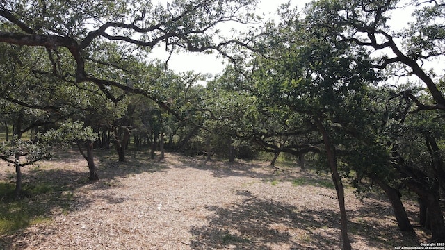 288 Scenic Cyn, New Braunfels, TX 78132