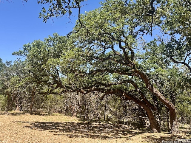 288 Scenic Cyn, New Braunfels, TX 78132